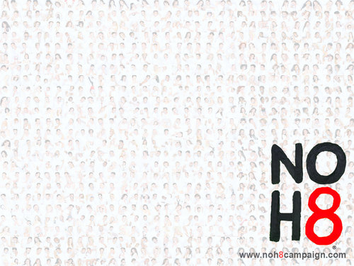 noh8 wallpaper