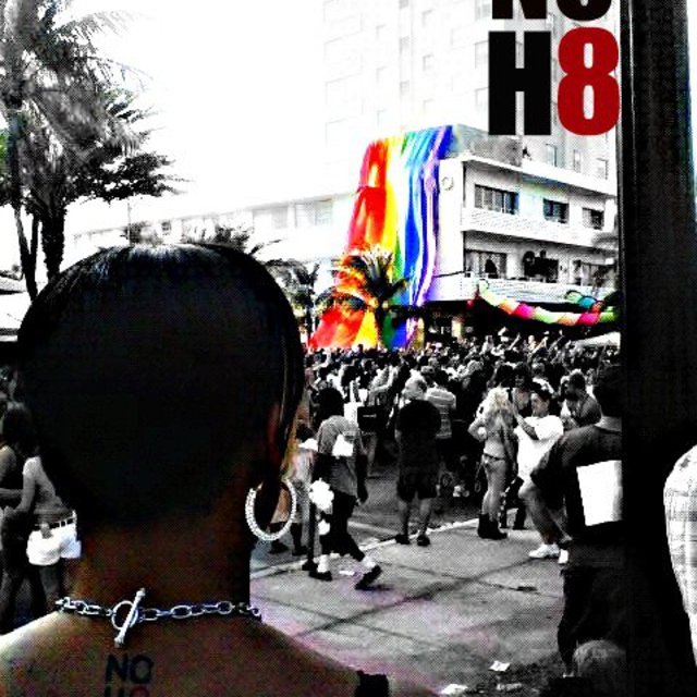 Noh8_original