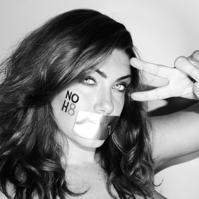 No_h81_original
