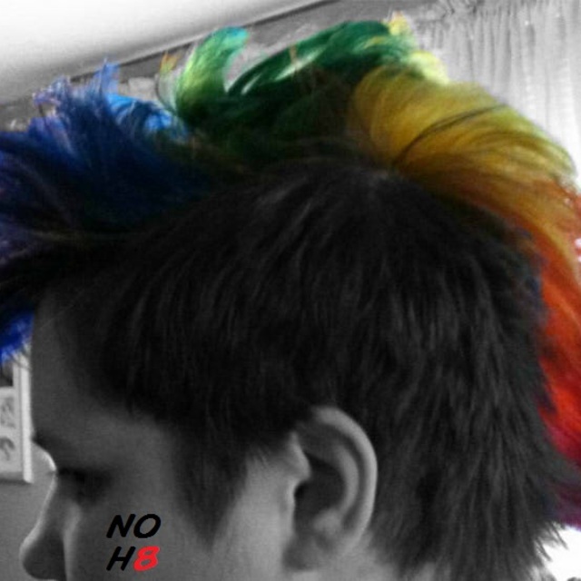 Noh8_original