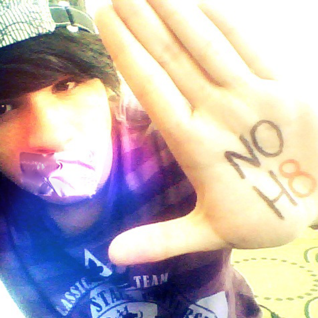 Noh8_oficial_original