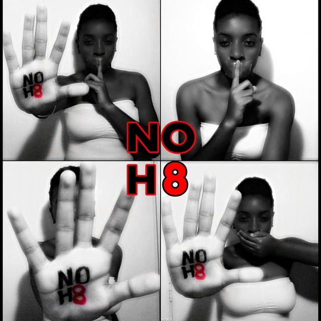 Noh8_original