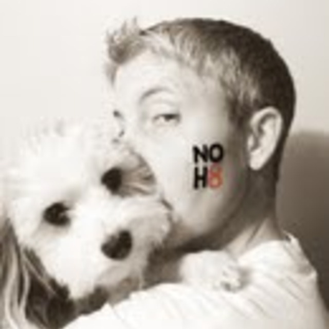 Noh8_original