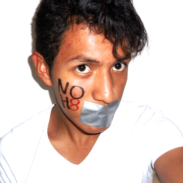 Gio Villavicenio - Gio Villavicencio is a mexican teenager, he's bisexual and he's proud to support NOH8 Campaign

Follow at twitter.com/giosuxx