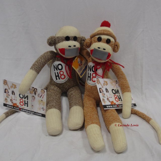 Lucinda Lewis - This is a photo of Kia Monkey and his brother Heel-a-Butt at New York Comic Con (NYCC) 2013 supporting #Marriage Equality for everyone! There was a NOH8 booth at comic con. Lucinda Lewis - This is a photo of Kia Monkey and his brother Heel-a-Butt at New York Comic Con (NYCC) 2013 supporting #Marriage Equality for everyone! There was a NOH8 booth at comic con.