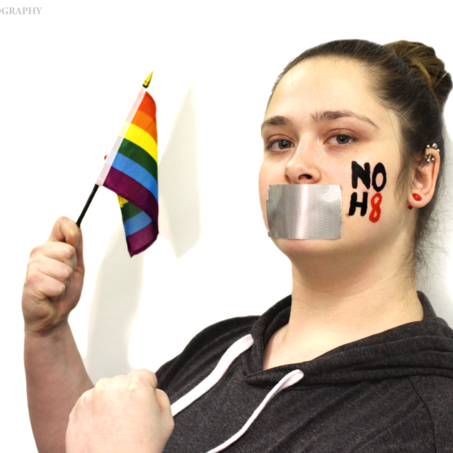 Noh8flag_original