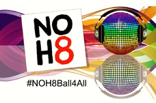 %23noh8ball4all